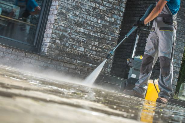 Animal Enclosure Cleaning in West Reading, PA